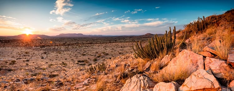 El vasto !Ae!Hai Kalahari Heritage Park es uno de los pocos santuarios internacionales de cielo oscuro (Shutterstock)