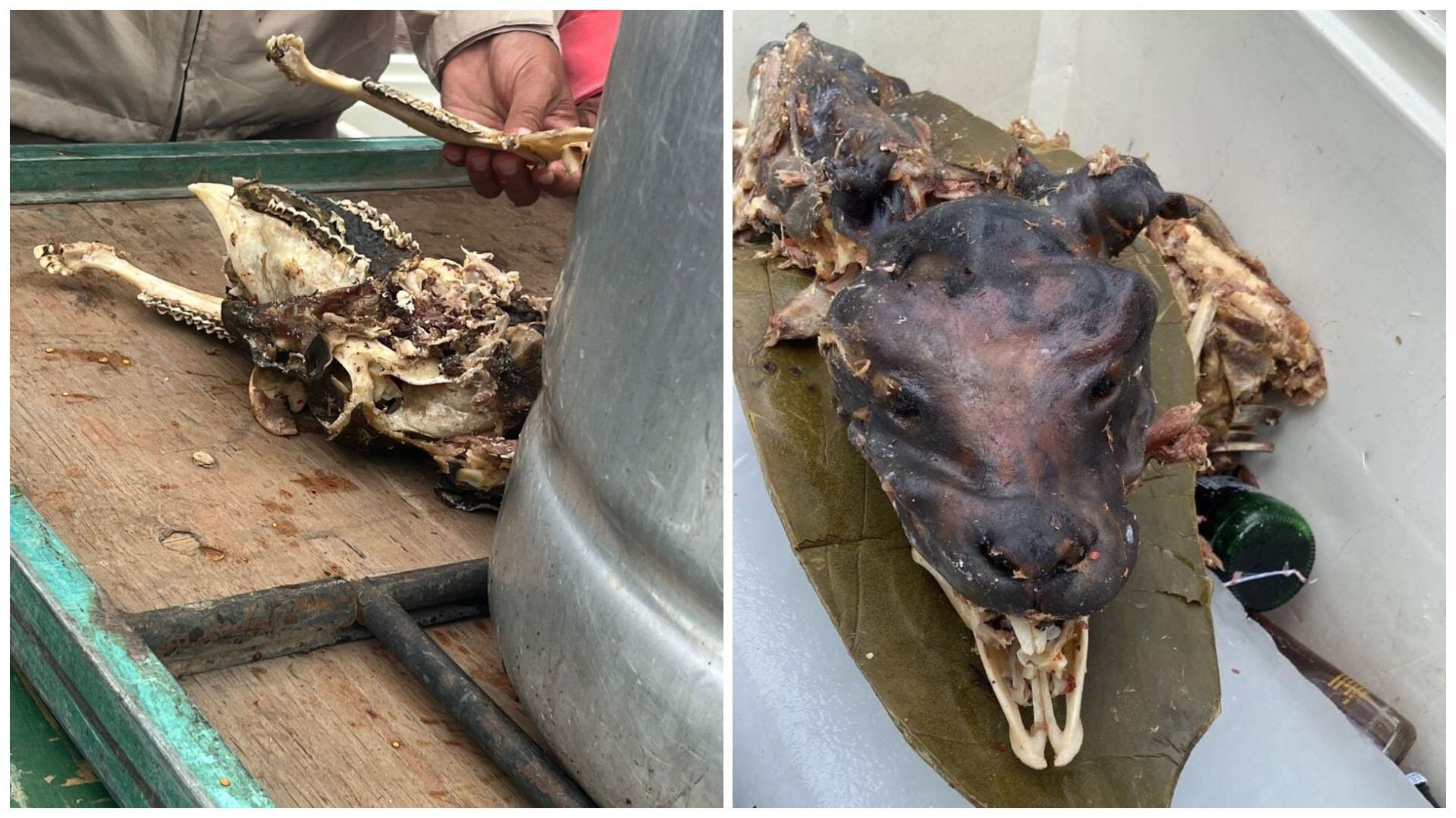 Para Llevar O Para Comer Aquí” Retiran Puesto De Barbacoa En Tizayuca Y Encuentran Posibles