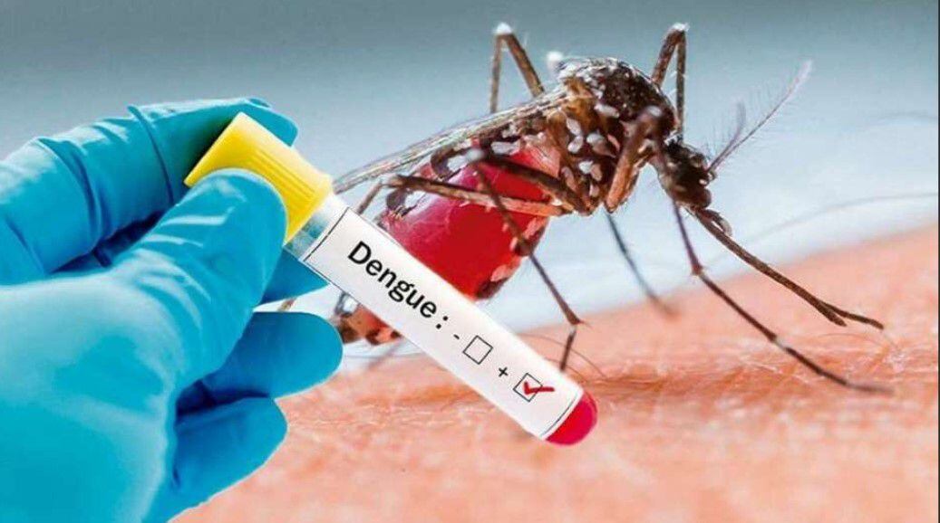 Los casos de dengue se han multiplicado en las últimas décadas, junto a las temperaturas más elevadas registradas 