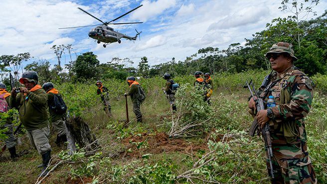 Proyecto Especial Corah erradicó hectáreas de cultivos ilegales de hoja de coca. (Foto: Mininter)