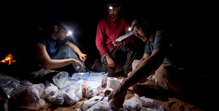 CAPTION
Simone Maganuco (middle), Davide Bonadonna (right) and lead author Matteo Fabbri (left) organizing fossils at night

CREDIT
Nanni Fontana