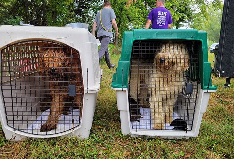 Los propietarios de perros hacen las últimas súplicas para mantener abierto  el parque canino de Oak Creek