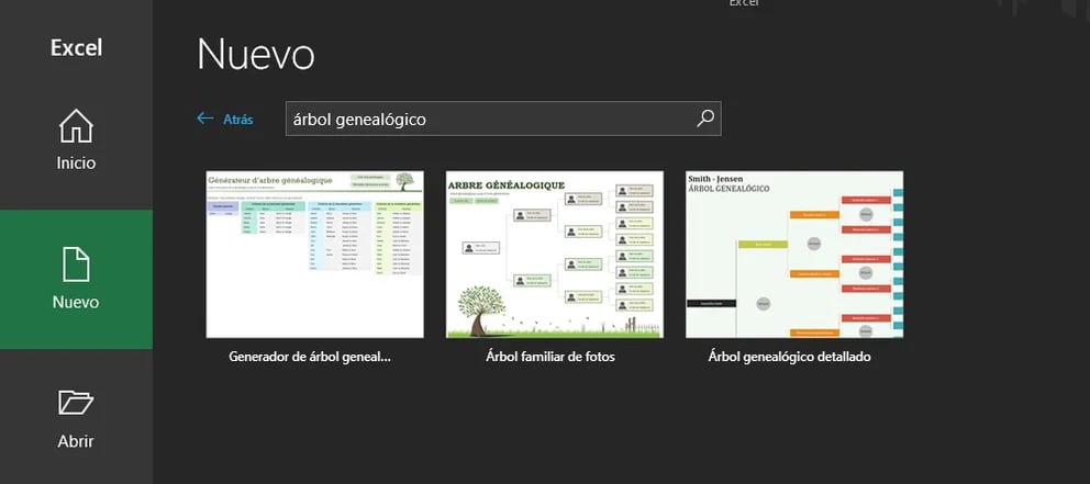 Crea un árbol genealógico en familia - Regio®