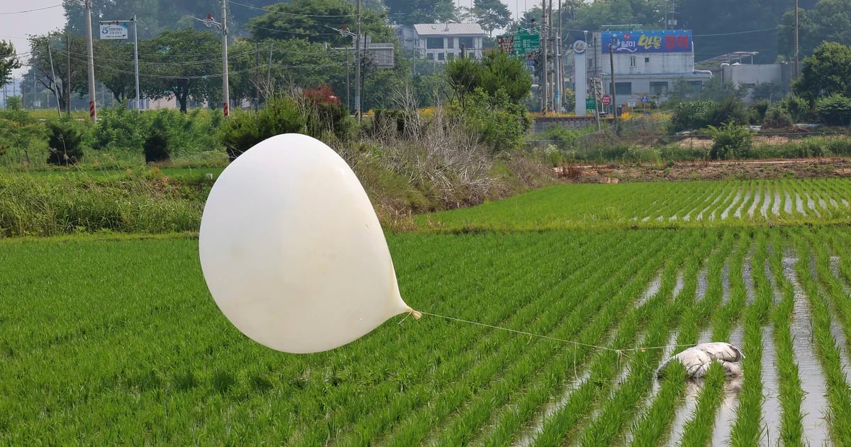 South Korea has denounced Kim Jong-un’s regime’s resumption of sending balloons loaded with garbage into its territory.