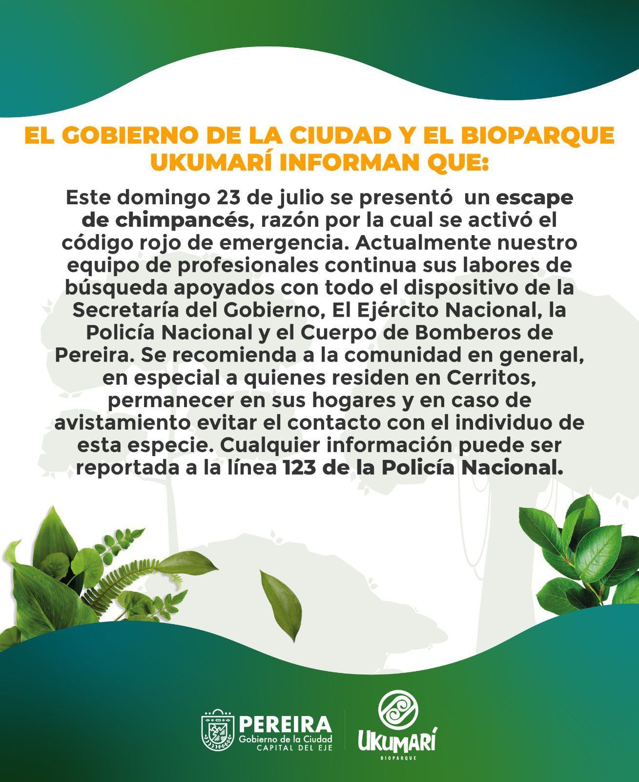 Comunicado del zoológico Ukumari sobre el escape del chimpancé. (Captura de pantalla)