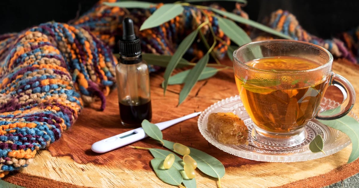 How to Prepare Eucalyptus Infusion, This Plant Can Help You Breathe Better and Treat Coughs and Bronchitis