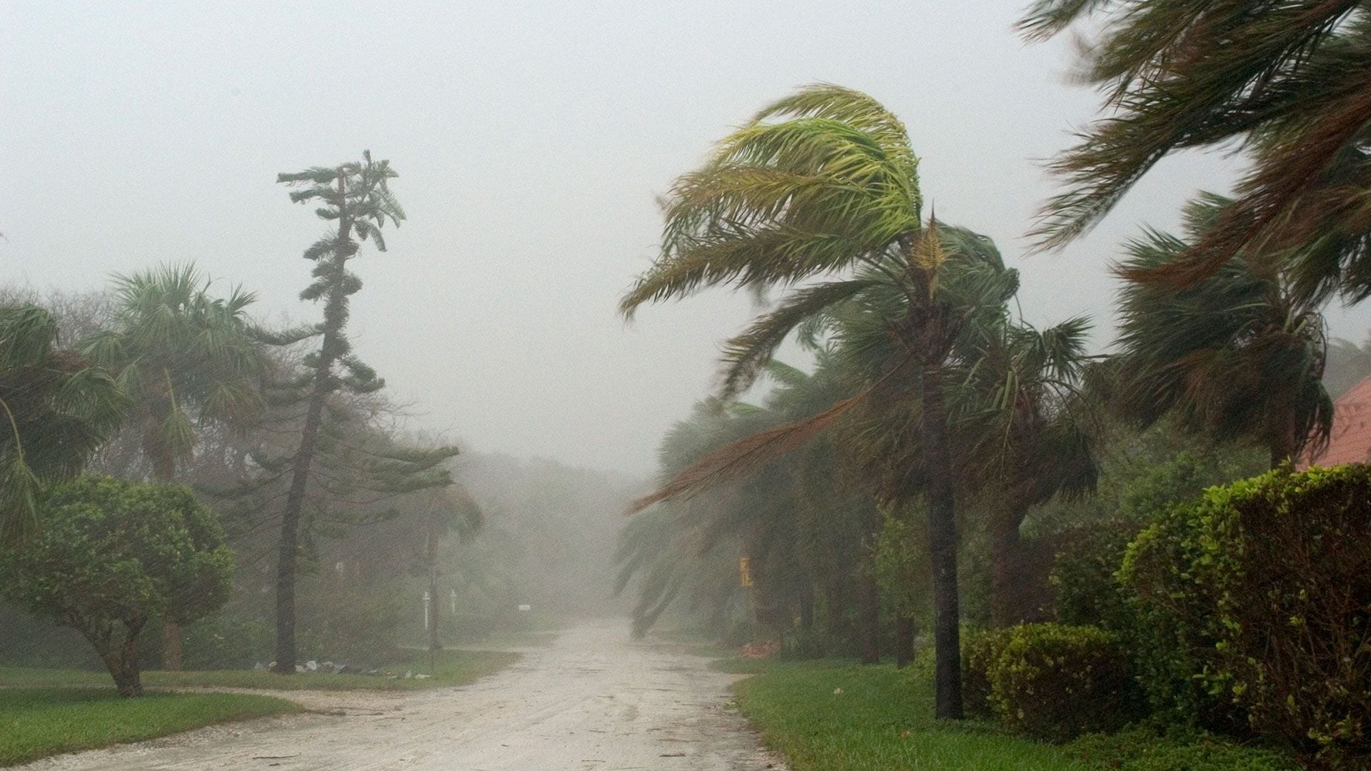 Según el Centro Nacional de Huracanes, se espera que el ciclón se convierta en la tormenta tropical Helene y posteriormente en un huracán de categoría mayor en los próximos días. (Photo by James P Reed/Corbis via Getty Images)