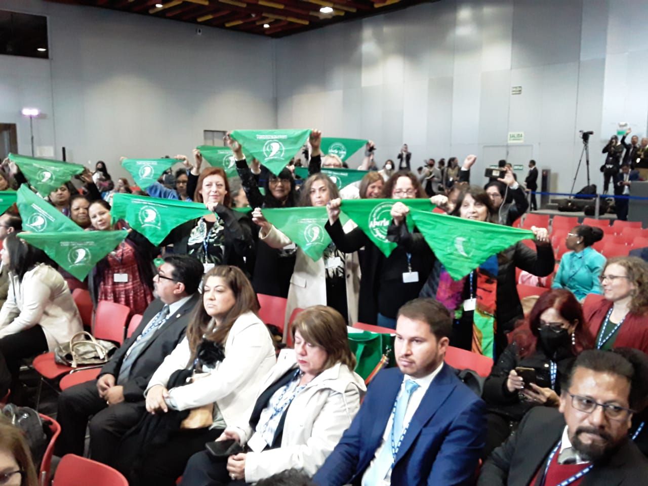 Movimiento Manuela Ramos presente en la Asamblea de la OEA