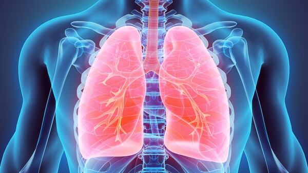 Ultimos Avances en Ciencia y Salud - Página 14 Pulmones-1