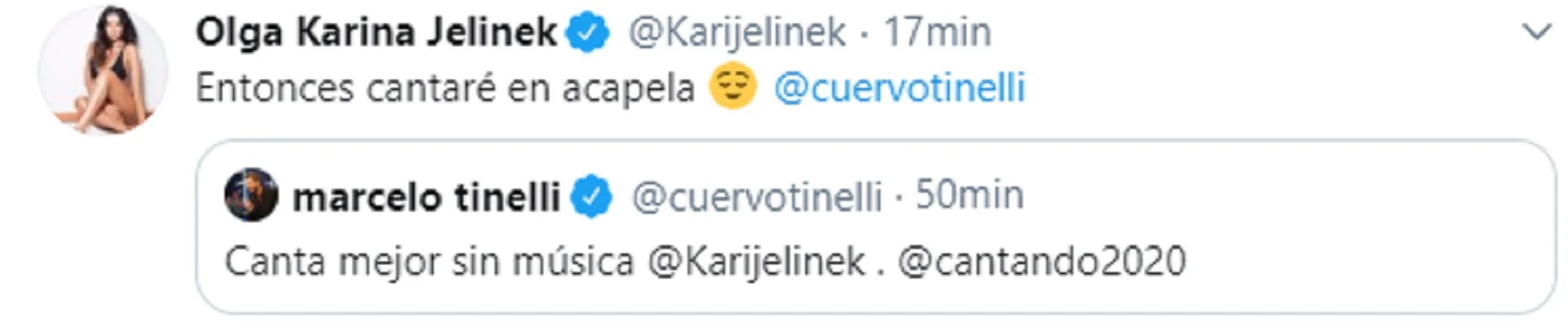 La respuesta de Karina Jelinek al mensaje de Marcelo Tinelli