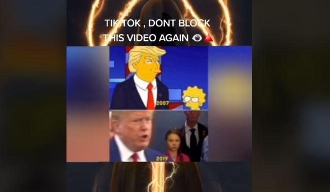 simpsons tiktok