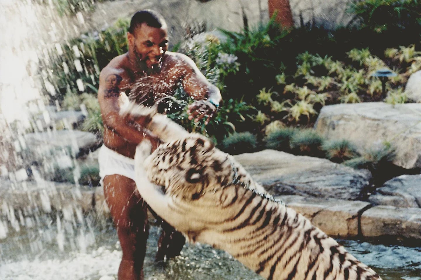 Mike Tyson revealed what the worst part was about sleeping with his Bengal tigers - Infobae
