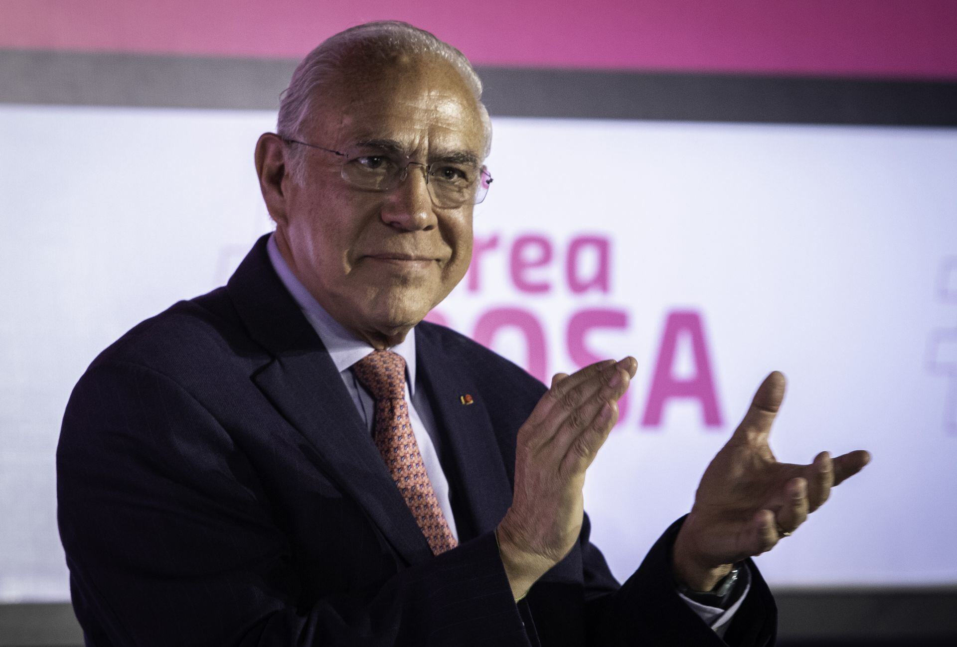 José Ángel Gurría ha señalado a los gobierno de coalición como alternativa al actual gobierno federal (ANDREA MURCIA/CUARTOSCURO.COM)