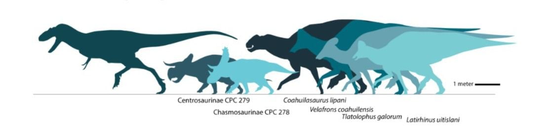 La nueva especie de dinosaurio fue nombrada Coahuilasaurus lipani (Crédito: revista Diversity)