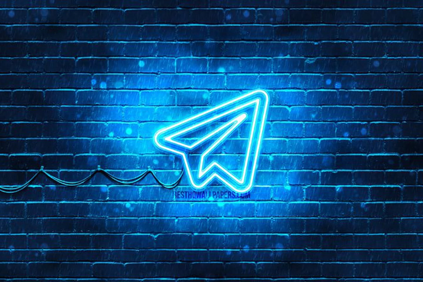 Telegram: как удалить фотографии, видео и файлы, чтобы освободить место -  Infobae