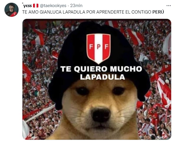 Memes of Peru's qualification to the repechage.