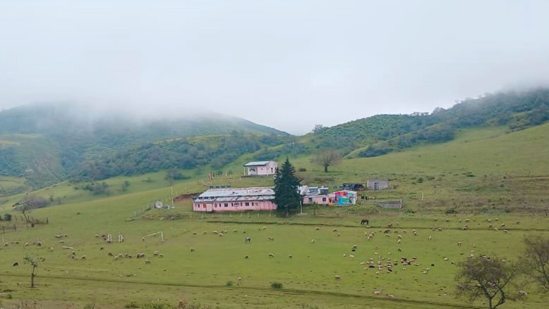 Escuela de Anfama Tucumán