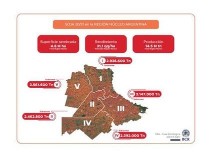 Detalles sobre la actual campaña de soja en la zona núcleo (Bolsa de Comercio de Rosario) 