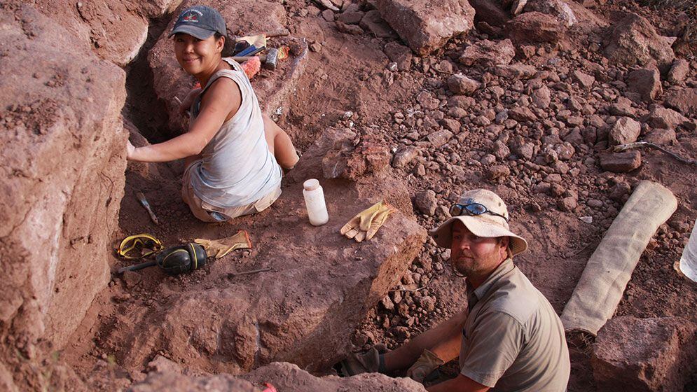 Los nuevos restos fueron hallados en Cañadón de Las Campanas, donde afloran rocas de entre 96 y 93 millones de años. Fotos: gentileza investigadores.