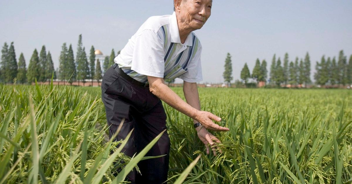 Chinese scientist Yuan Longping, the 