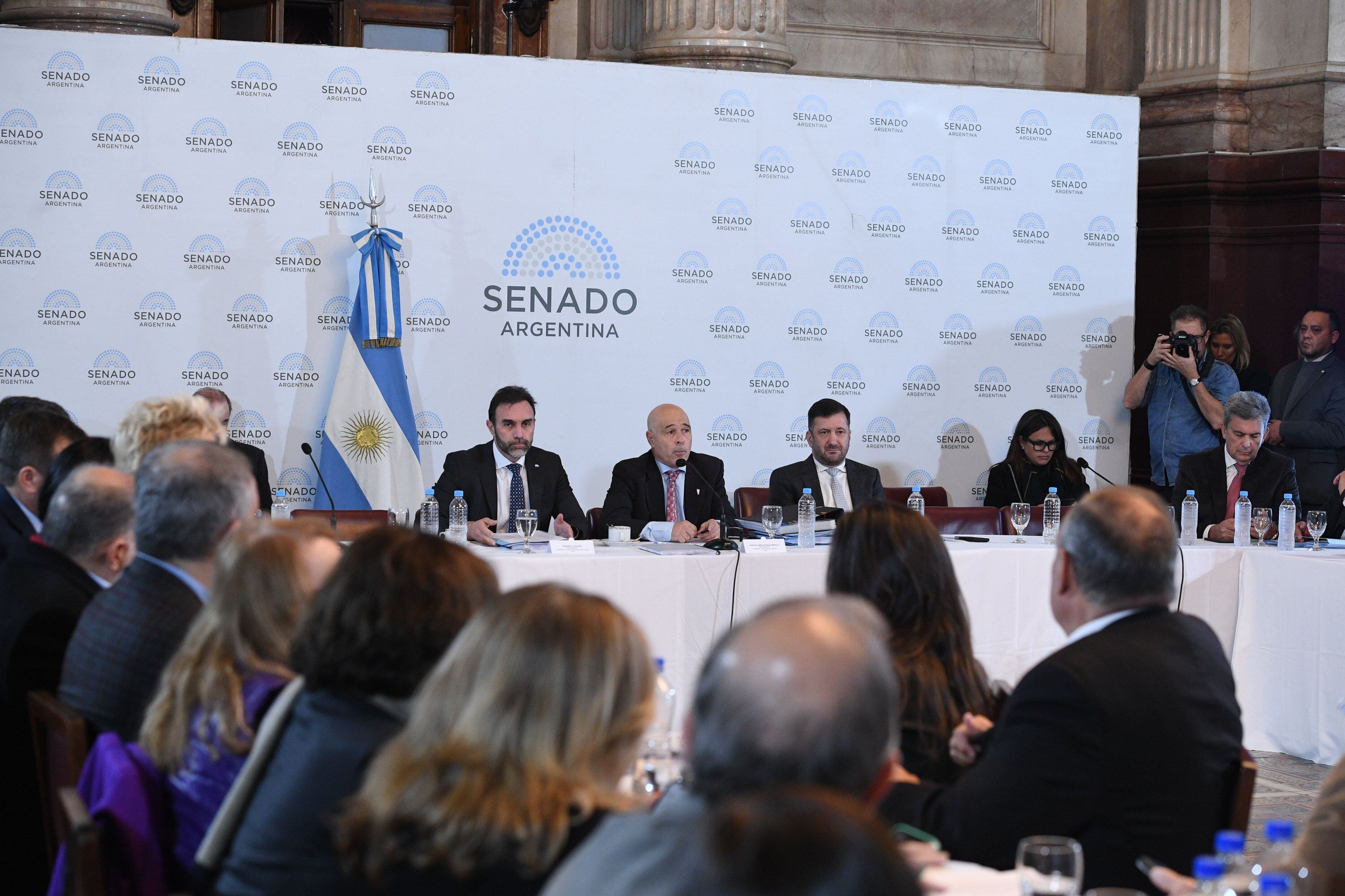 Reunión plenaria de las comisiones de Legislación General, de Presupuesto y Hacienda y de Asuntos Constitucionales en el salón Azul del Honorable Senado de la Nación; el 29 de mayo de 2024, en Buenos Aires, Argentina.