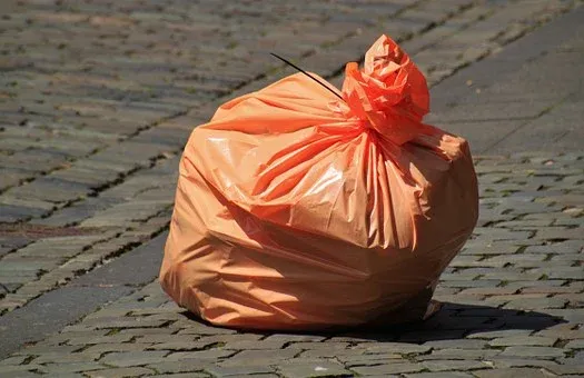 Cuáles Son Las Dos Sanciones Aplicadas En Cdmx Por Tirar Basura En La Calle Infobae