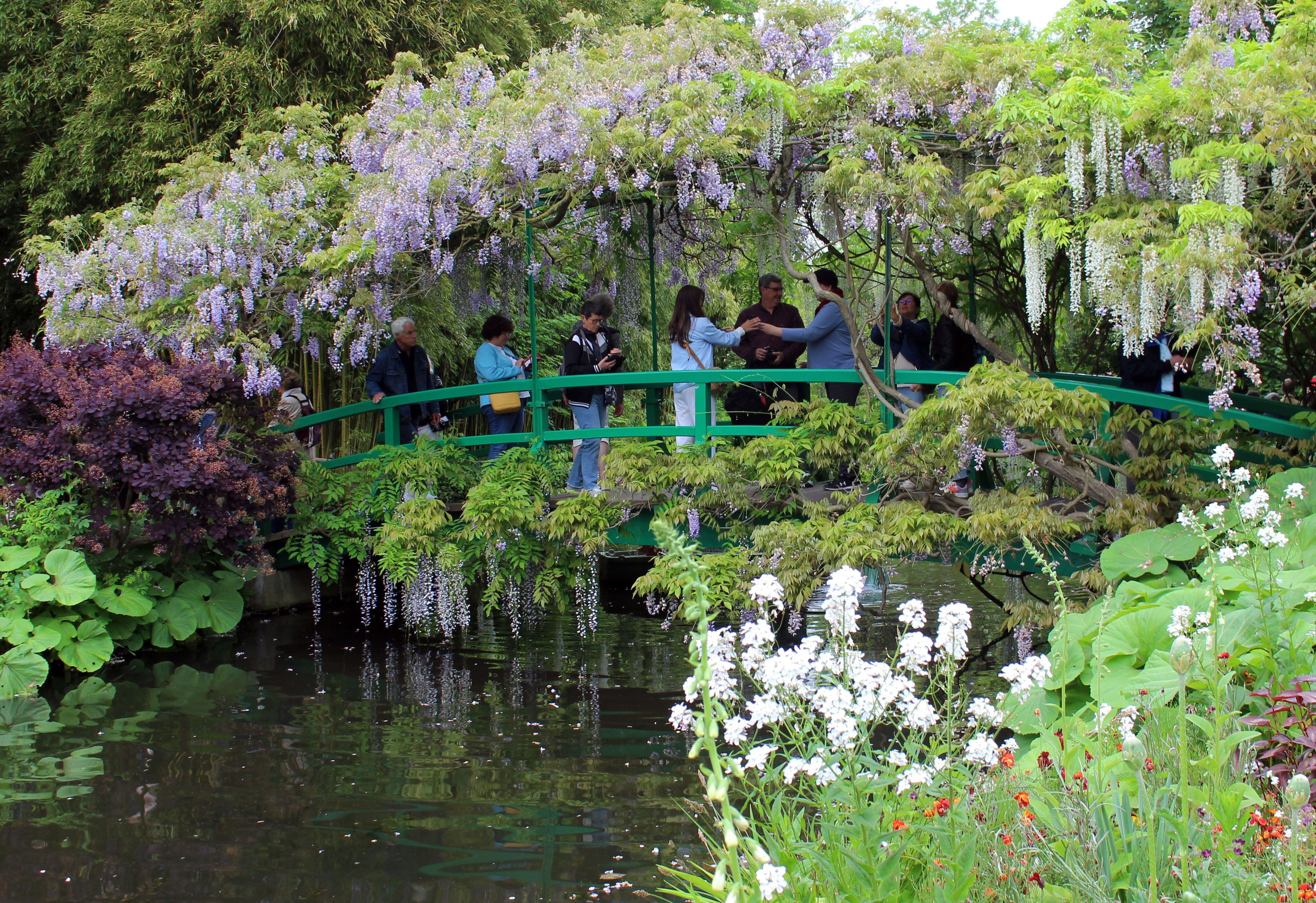 Los nenúfares y el puente japonés se convirtieron en motivos centrales en la obra de Monet, representando su constante búsqueda de la luz y el movimiento - (Shutterstock)