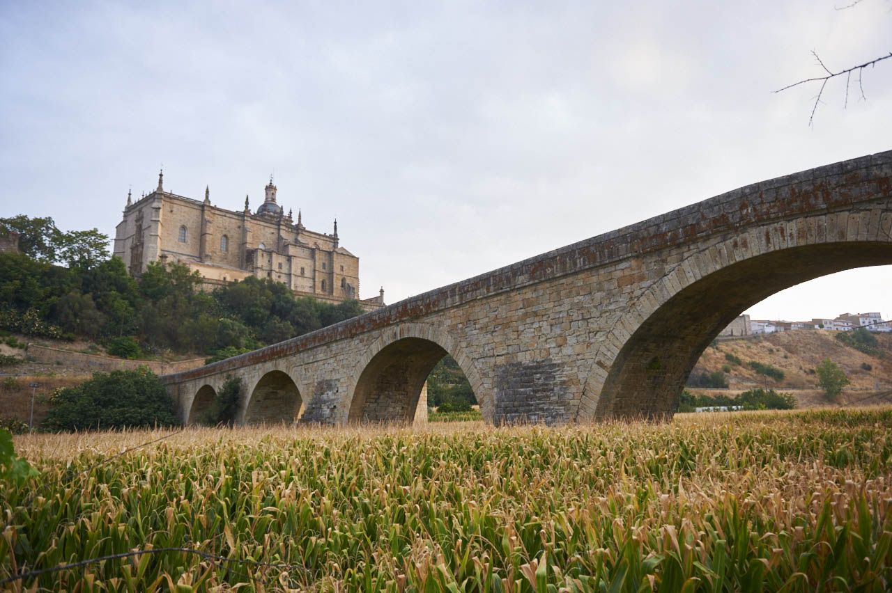 Vista de la ciudad de Coria, uno de los cascos antiguos mejor conservados de Extremadura. (Turismo de Cáceres)