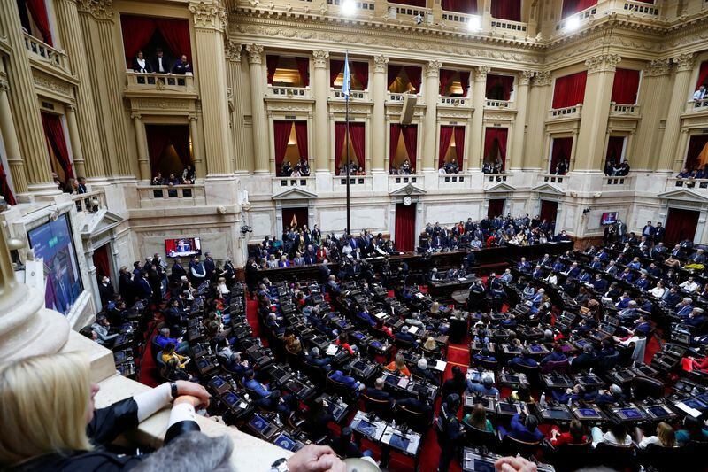 Diputados convirtió en ley proyecto de digitalización de las historias clínicas a fines de febrero 2023 (REUTERS/Agustin Marcarian)