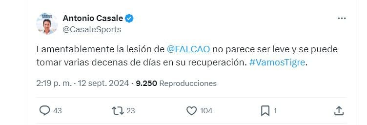 El periodista informó que Falcao estará varias semanas alejado de las canchas - crédito @CasaleSports/X