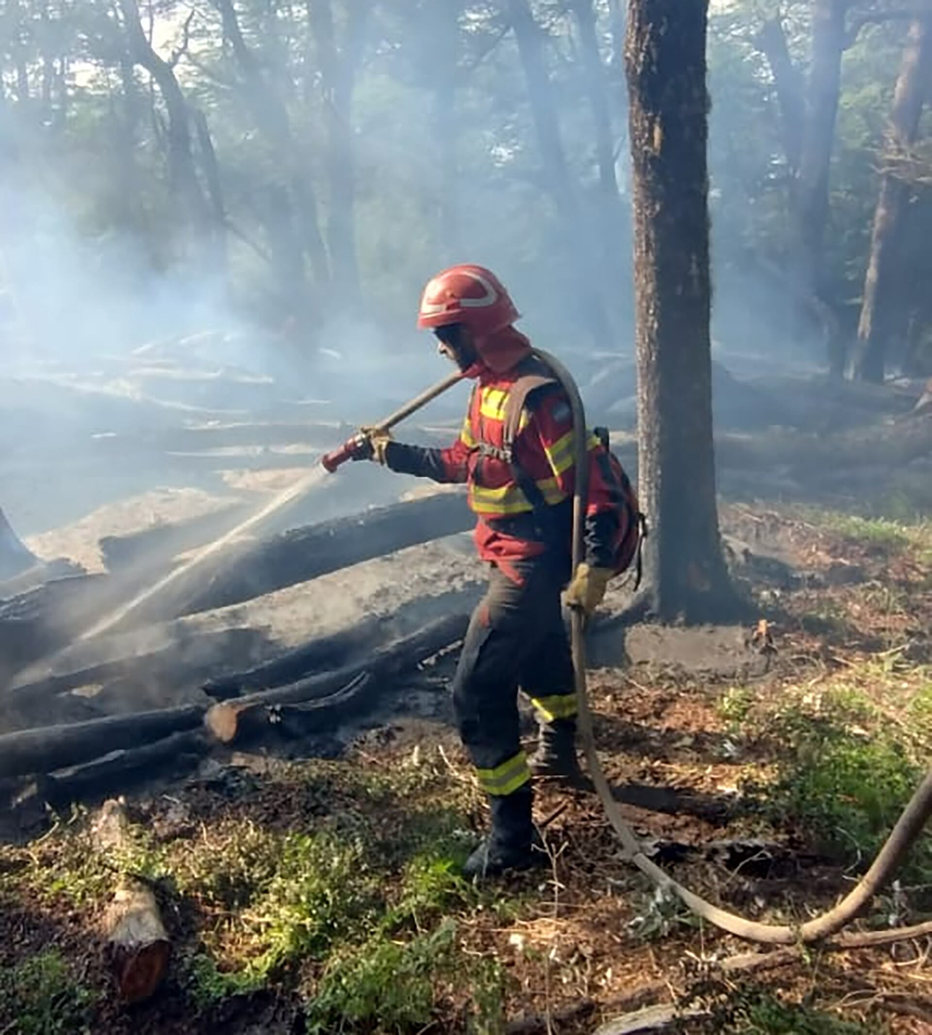 El incendio en el Parque Nacional Los Alerces ya consumió casi 7 mil hectáreas