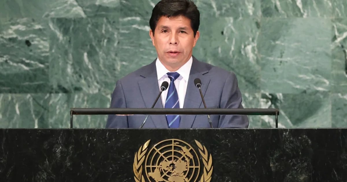 “Ashamed of others”: criticism of Pedro Castillo’s presentation and speech at the United Nations