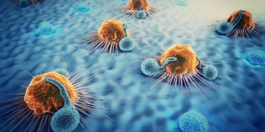 El avance en la inmunoterapia que duplica la eficacia de las células T para combatir el cáncer