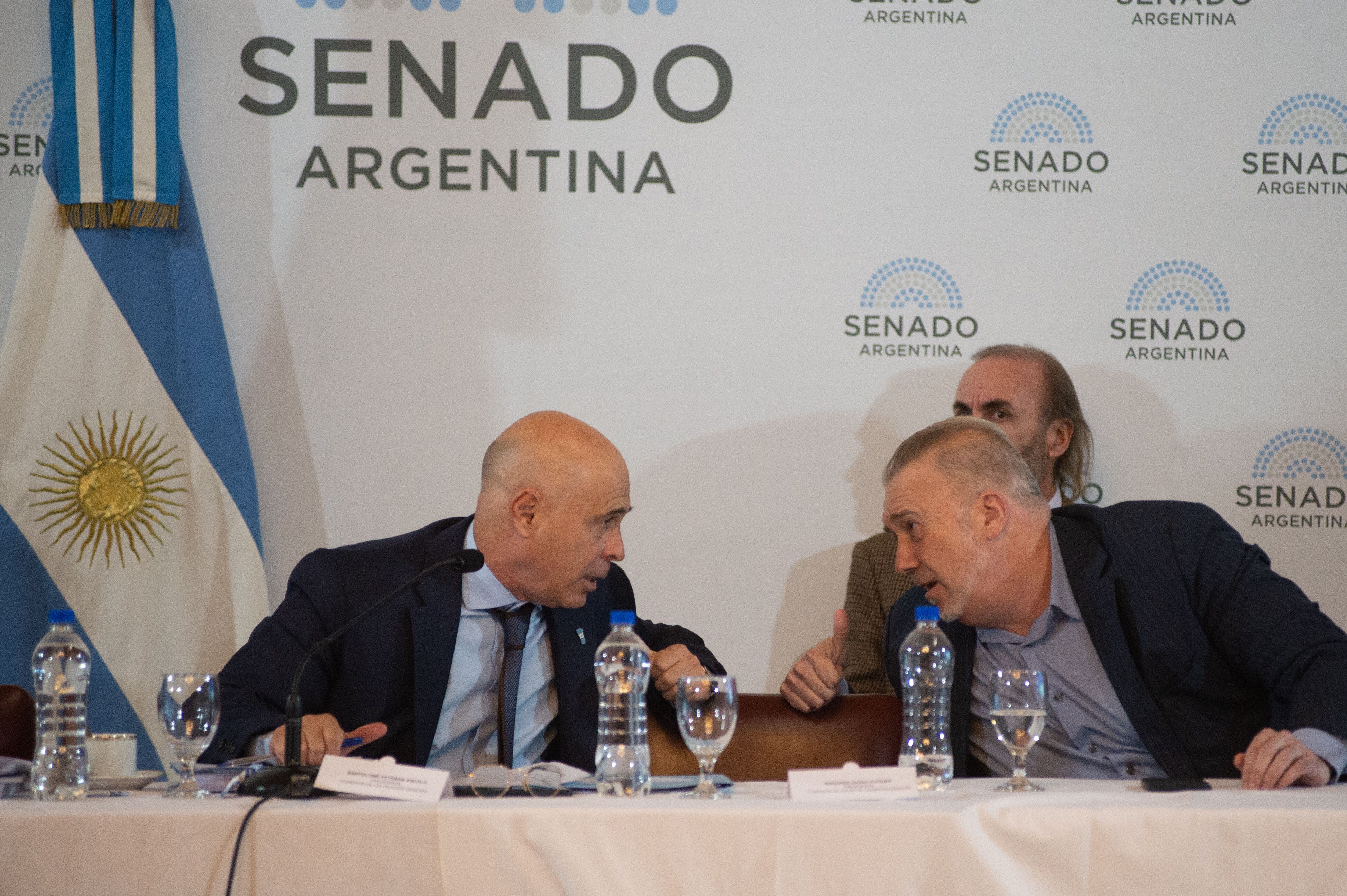 Ley bases en el senado - Plenario de comisiones - 14.05.2024