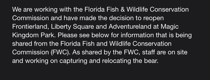 Mientras se desarrollaba la búsqueda del oso, las autoridades de Magic Kingdom aseguraron que irían abriendo las atracciones paulatinamente