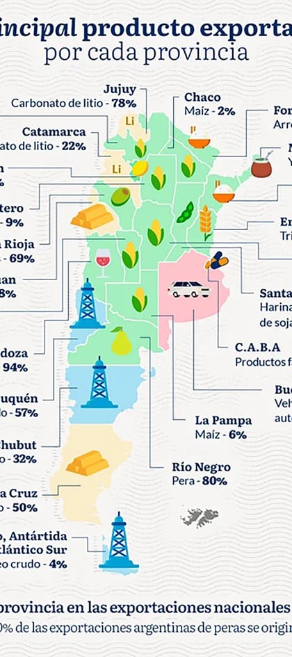 Crucial: qué y cuánto exporta cada provincia argentina