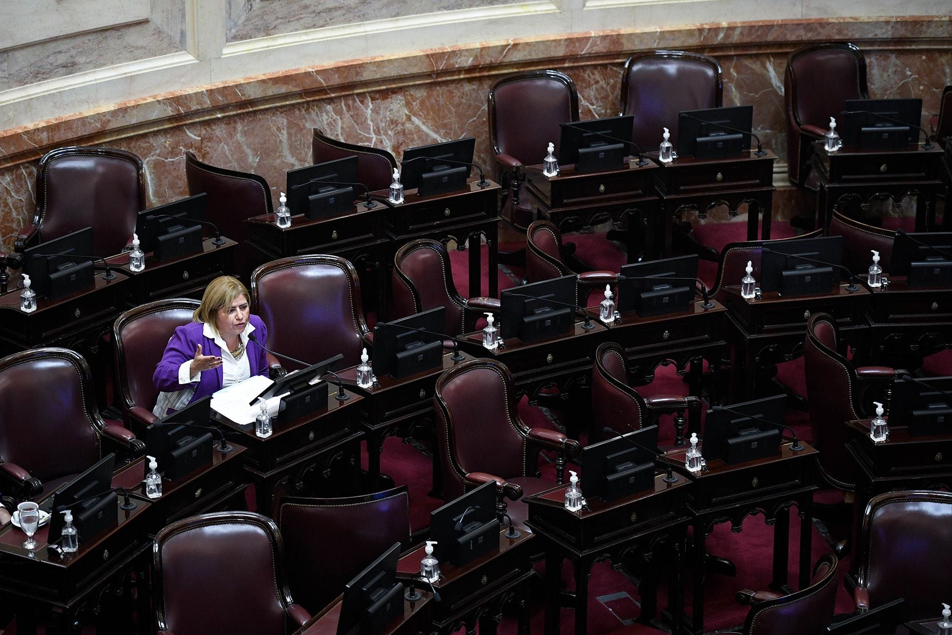 SENADO SESION ESPECIAL 08-09-22