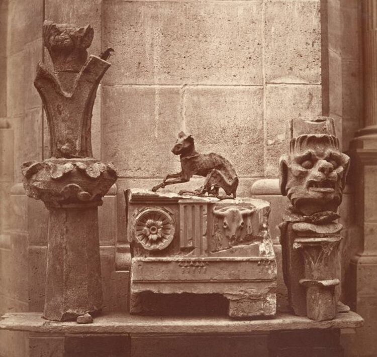 Gato momificado, hallado en 1862, fotografía de Charles Marvilles (1813-1879), Gilman Collection, Metropolitan Museum of Art, New-York