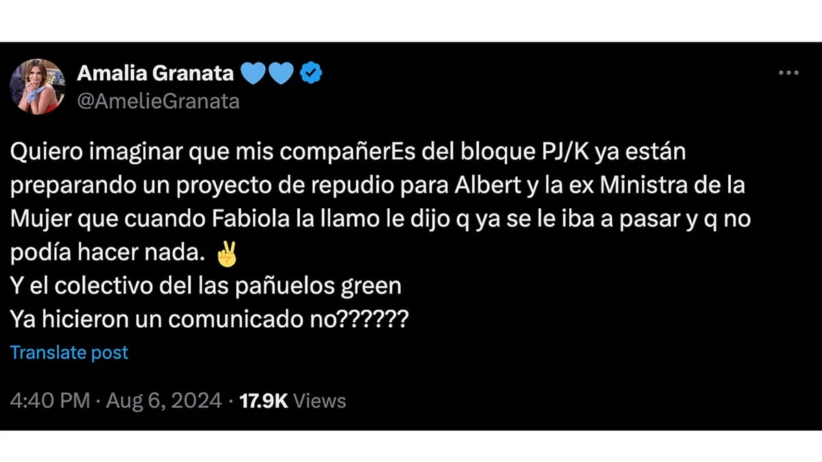 “De eso no se vuelve”: la reacción del arco político luego de que Fabiola Yañez denunciara que Alberto Fernández la golpeaba