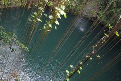Existen manantiales en el país, como el Potosí y Ojo de Agua La Presa en Nuevo León, que se han secado de manera permanente y, por lo tanto, perdido su fauna acuática (Foto: ucn.org)