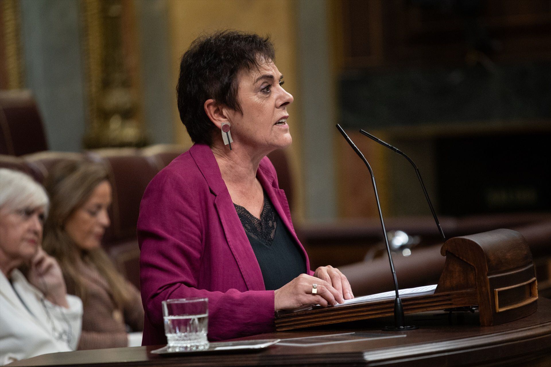 Mertxe Aizpurua en el Congreso de los Diputados. (Alejandro Martínez Vélez / Europa Press)