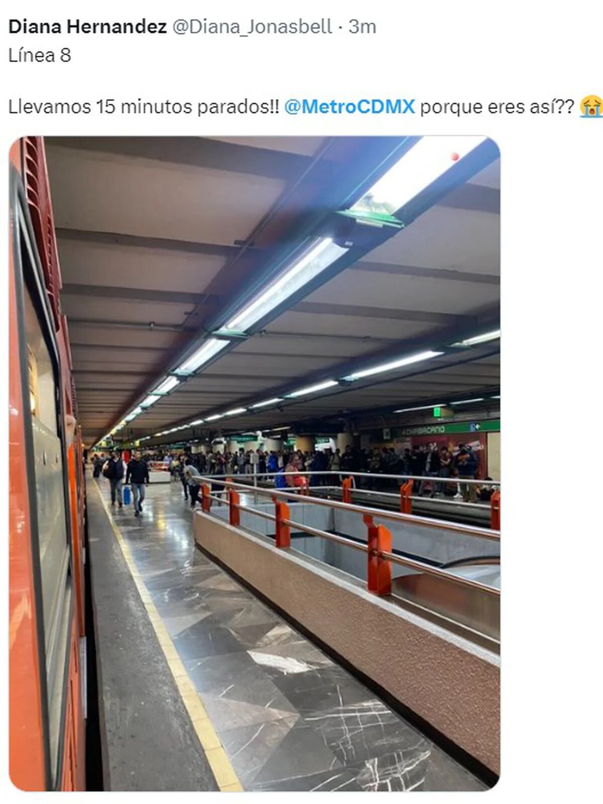 Línea 8 del Metro de la CDMX. 