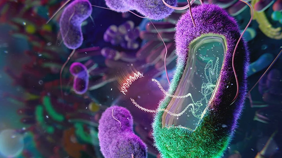 Los 5 factores pocos conocidos que pueden afectar la microbiota intestinal