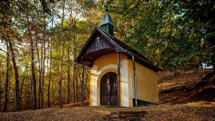 Desde la montaña Irottko, en la frontera occidental con Austria, hasta el pueblo nororiental de Hollóháza, cerca de Eslovaquia, el Blue Trail (Kéktúra en húngaro) es una red maravillosamente diversa de caminos marcados (Shutterstock)