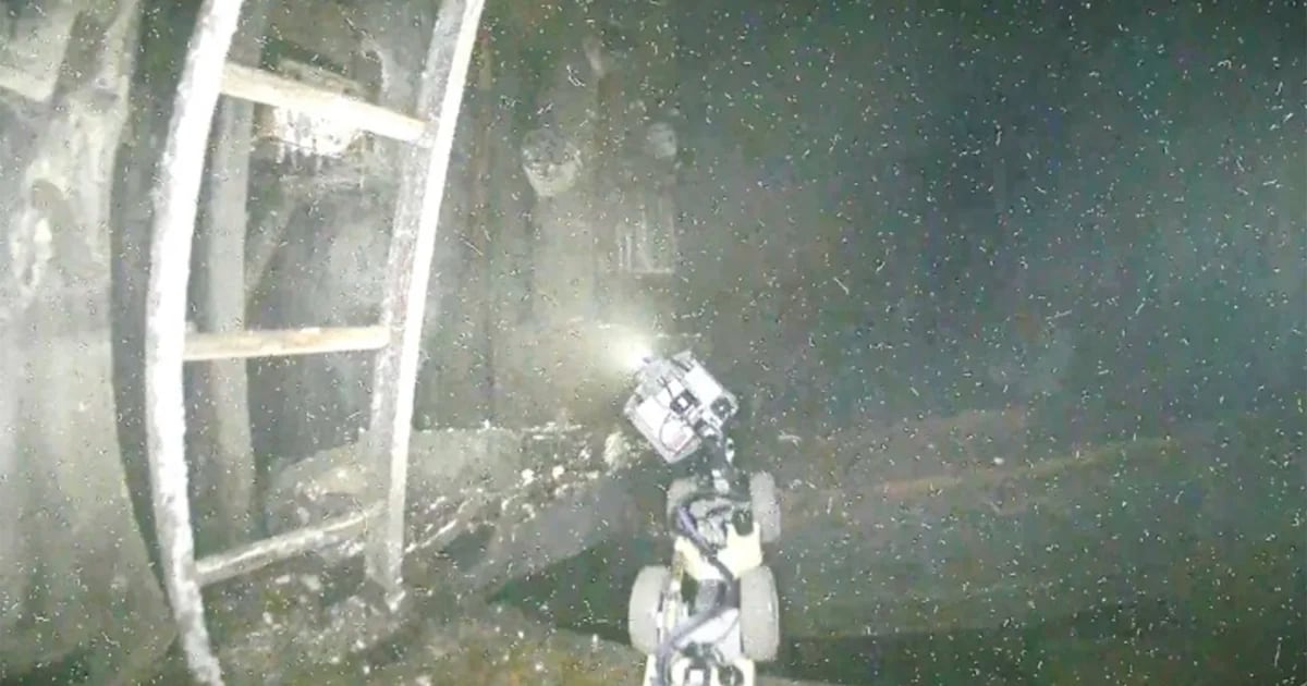 They reveal the first images of the interior of a nuclear reactor at the Fukushima plant