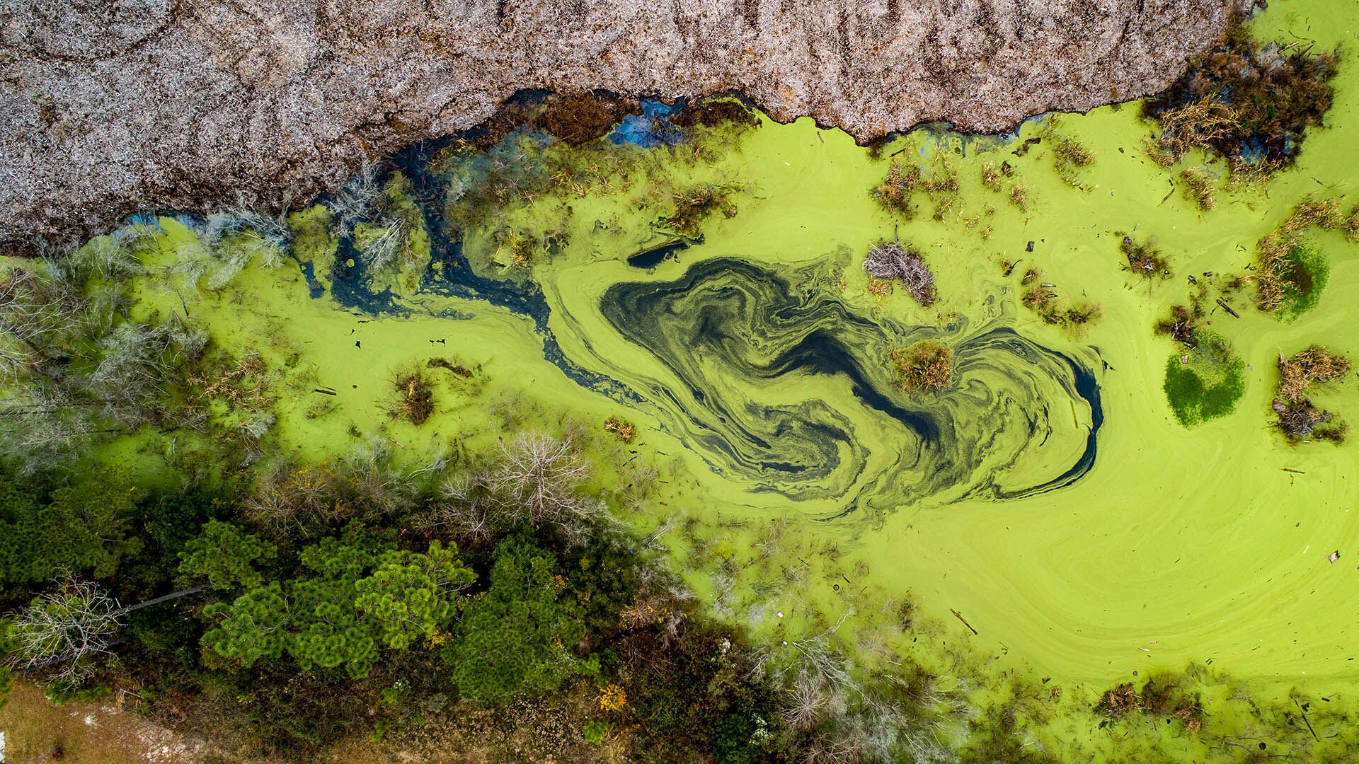 Para investigar los efectos futuros de tendencias similares, los investigadores modelaron la calidad del agua en fragmentos de 20 años desde 2005 hasta 2100, utilizando modelos existentes de calidad global del agua (Getty)
