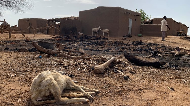 Un animal muerto, en medio de las ruinas que dejó el ataque en el pueblo dogón (Reuters)
