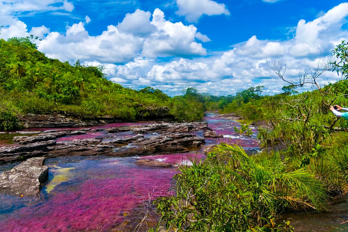 Caño Cristales El Increíble Arcoíris Líquido Que Deslumbra A Miles De Viajeros Infobae 