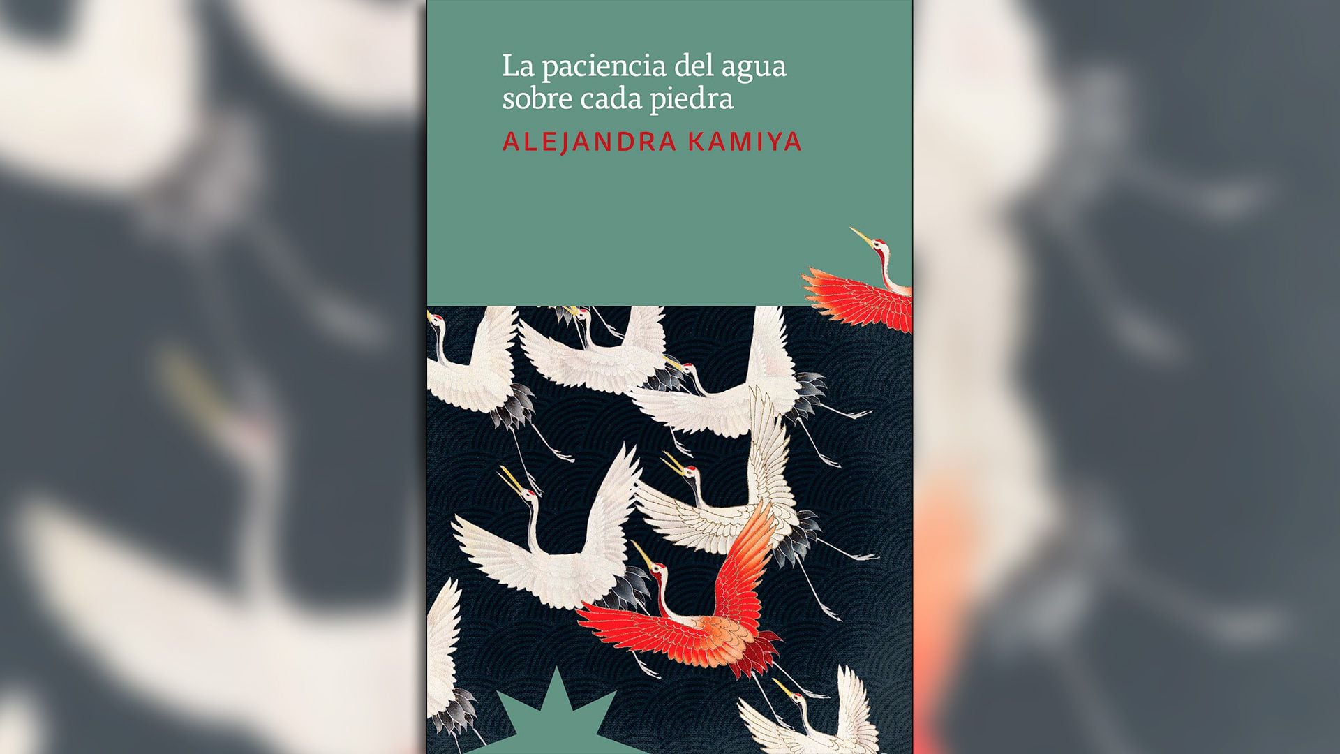 La paciencia del agua sobre cada piedra, de Alejandra Kamiya