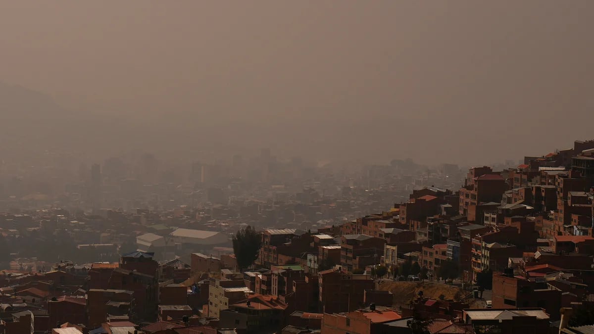 Bolivia declaró “emergencia nacional” por los incendios forestales que ya afectaron a 3,8 millones de hectáreas